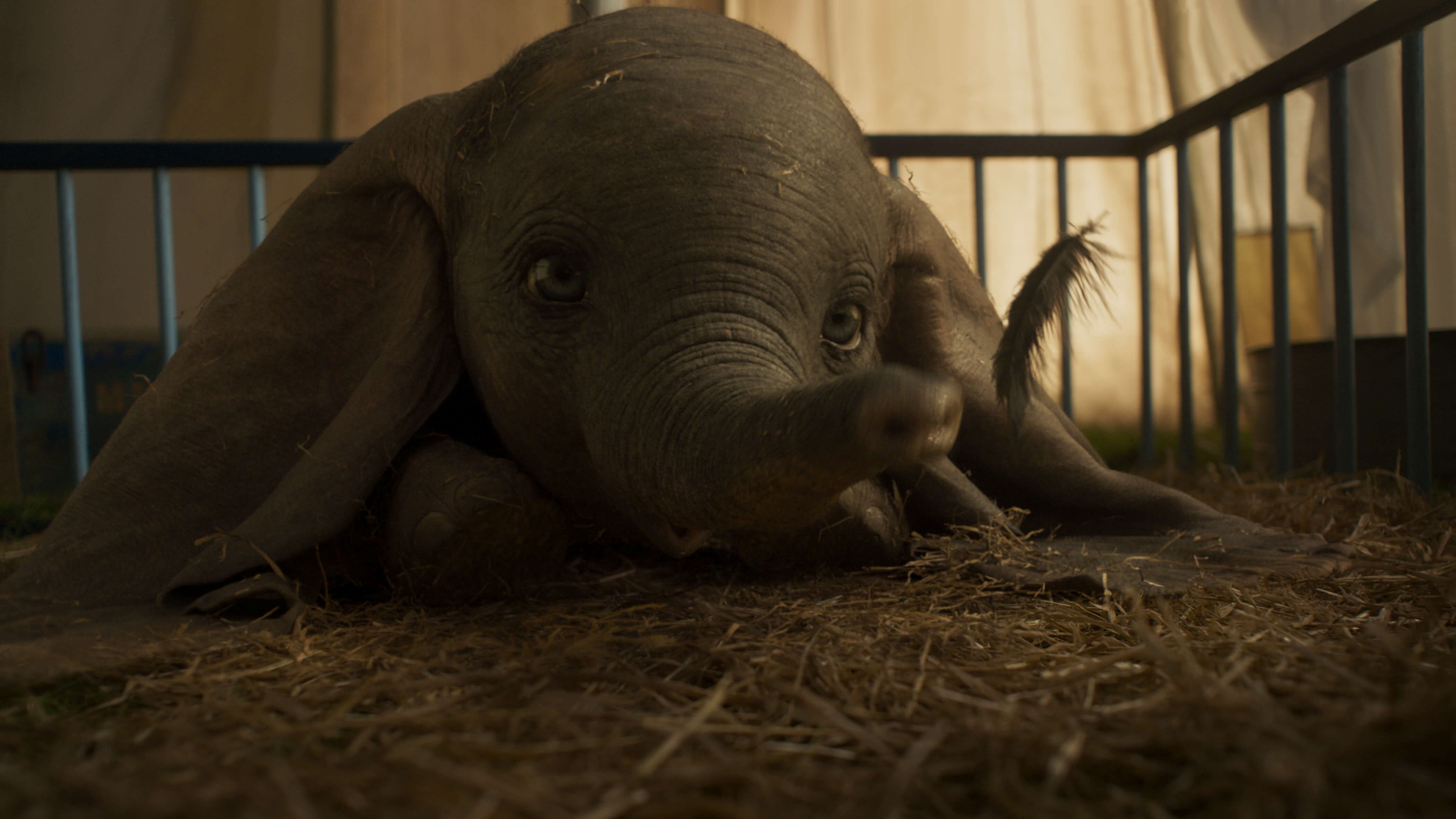 New Trailer And Poster For Live-Action ‘Dumbo’ Released