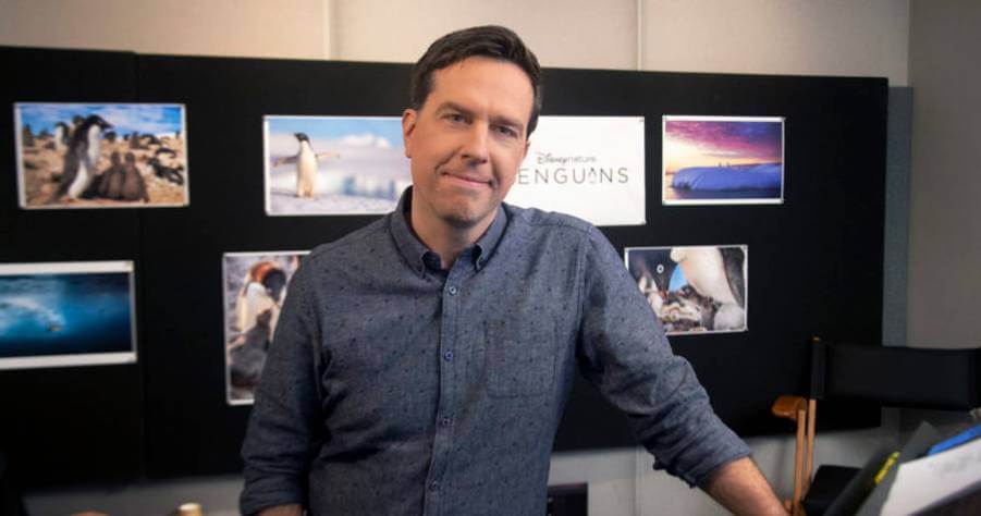 Ed Helms To Narrate Disneynature’s ‘Penguins’