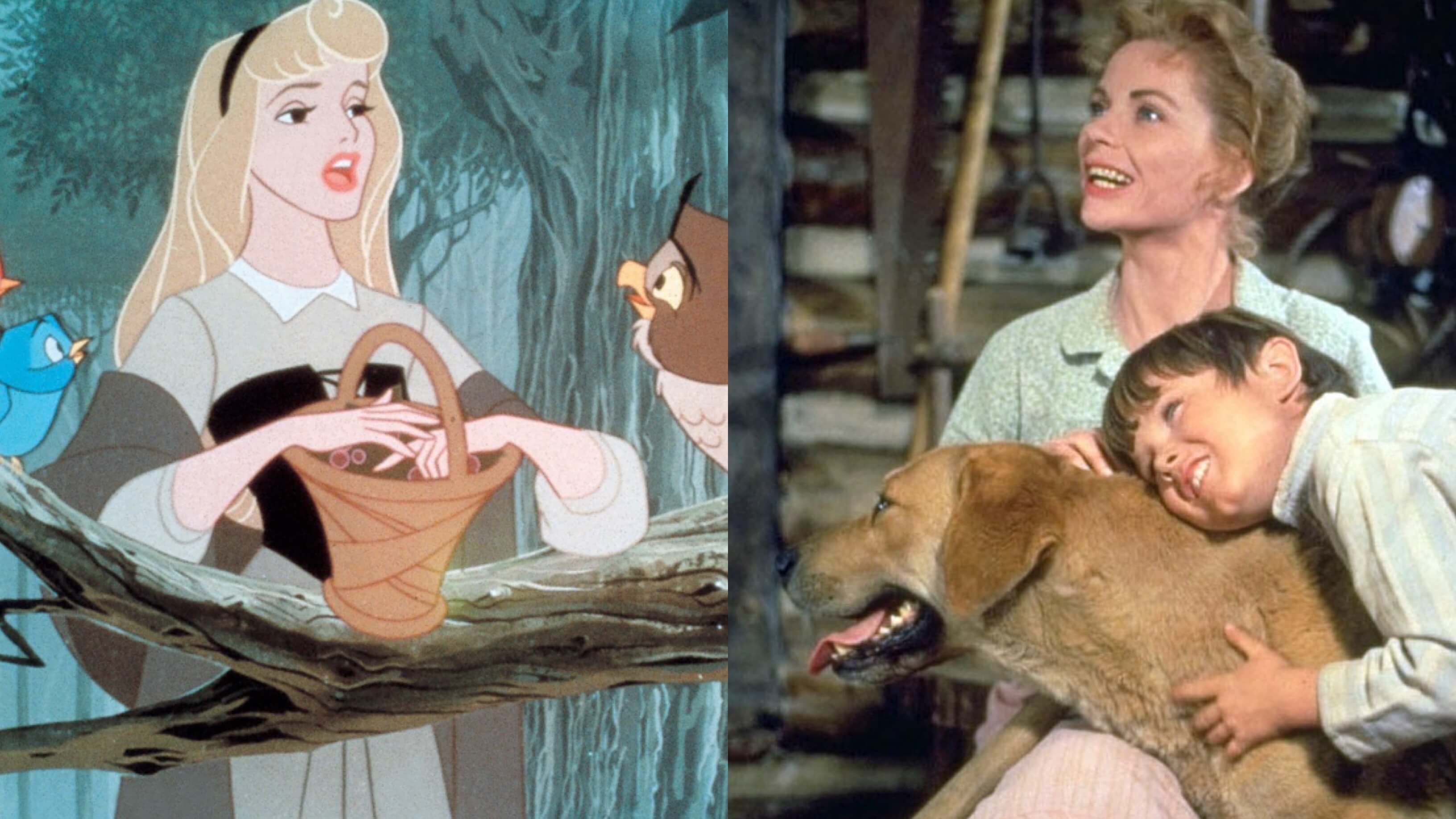 Disney’s ‘Sleeping Beauty’ and ‘Old Yeller’  Added To The Library of Congress National Film Registry