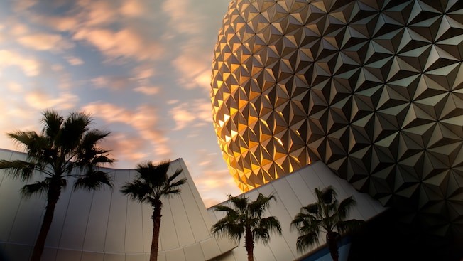 Florida Loosens Restrictions for Walt Disney World as the State Continues to Reopen