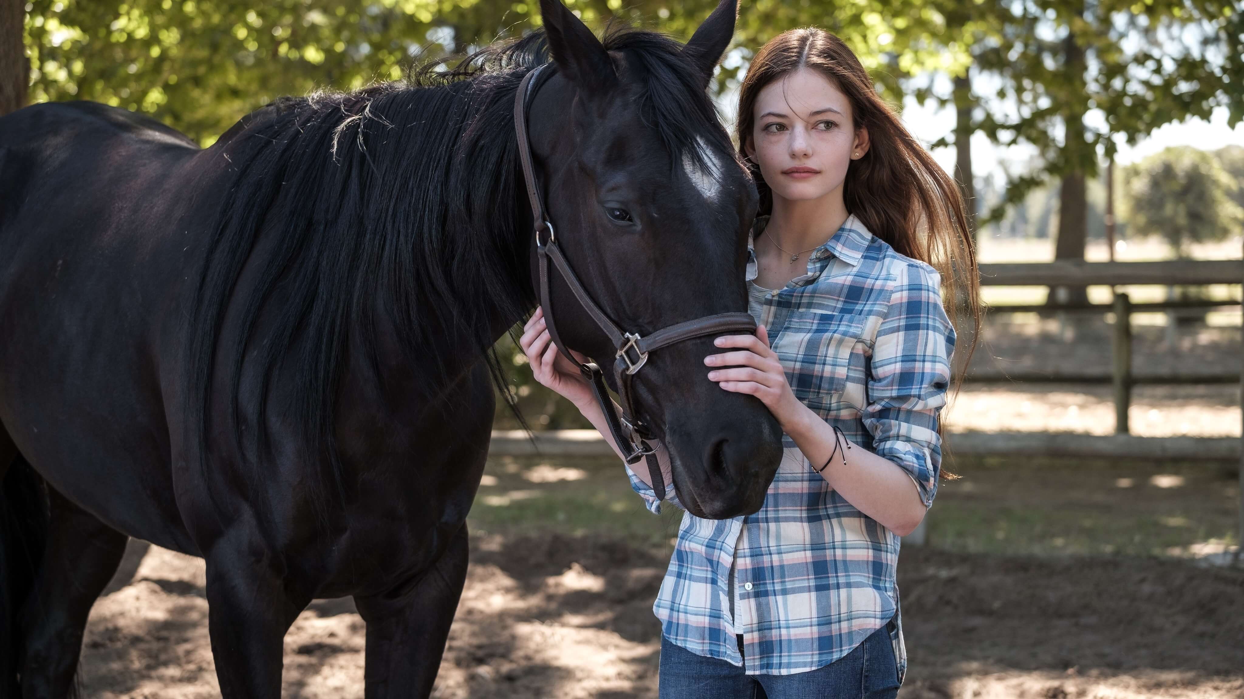 Disney+ Debuts New Trailer and Poster For ‘Black Beauty’