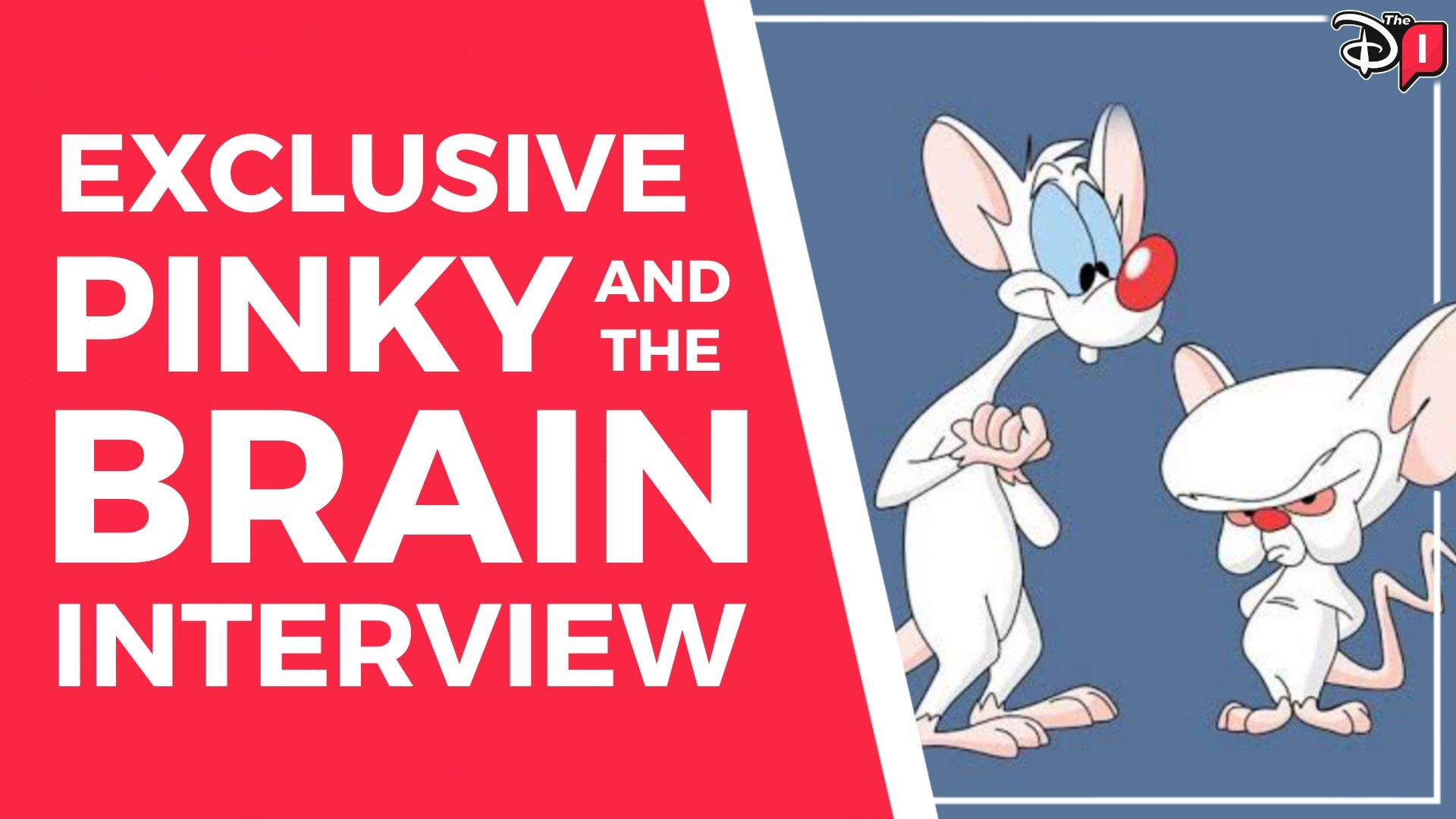 EXCLUSIVE: Interview With ‘Animaniacs’ Stars Pinky And The Brain