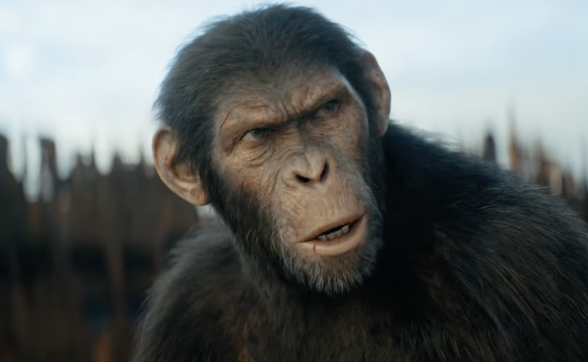 SEE IT: The New Trailer For ‘Kingdom of the Planet of the Apes’ Is Here