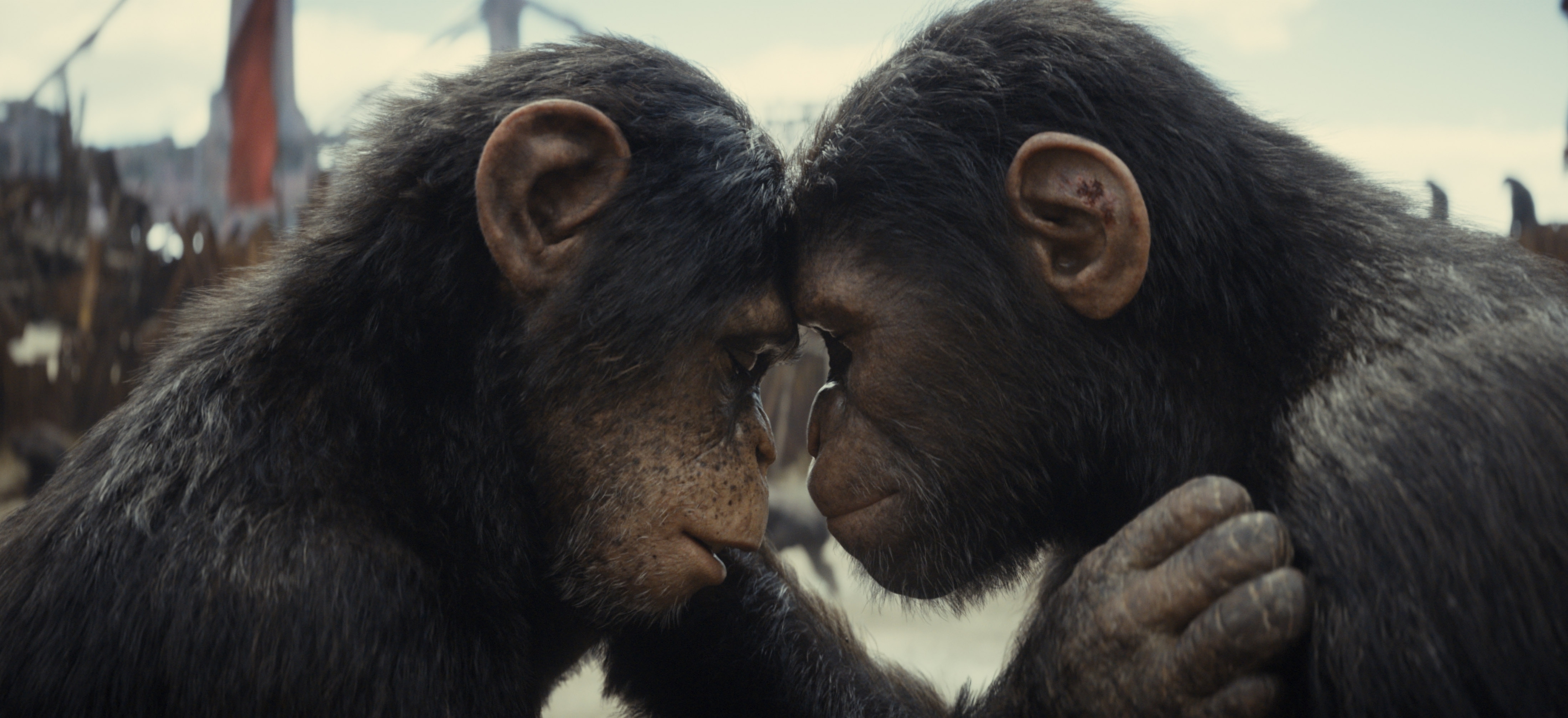 ‘Kingdom of the Planet of the Apes’ Dominates The Box Office