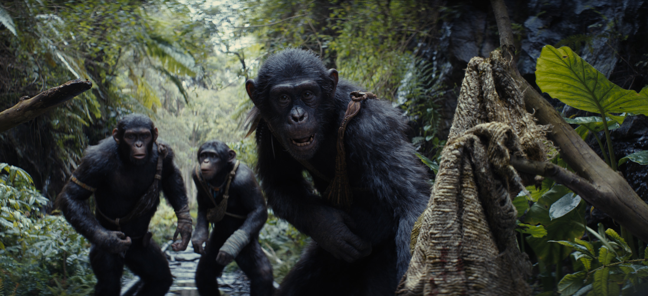 ‘Planet Of The Apes’ Franchise Writers Reveal Just How Many More New Films There Will Be