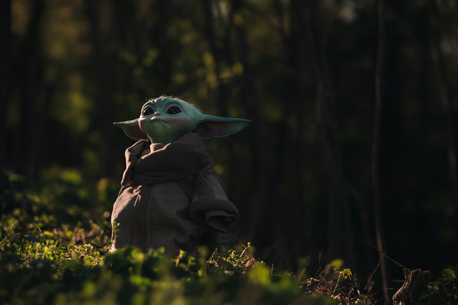 The Mandalorian And Grogu Could Reset Star Wars Cinema Energy In 2026